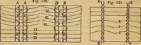 An illustration from The art of weaving, by hand and by power (1844)