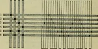 Picture 18 of 182 from The art of weaving, by hand and by power, : with an introductory account of its rise and progress in ancient and modern times. For the use of manufacturers and others. (1844), leaf 117
