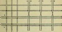 Picture 23 of 182 from The art of weaving, by hand and by power, : with an introductory account of its rise and progress in ancient and modern times. For the use of manufacturers and others. (1844), leaf 138