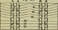 An illustration from The art of weaving, by hand and by power, : with an introductory account of its rise and progress in ancient and modern times. For the use of manufacturers and others. (1844)