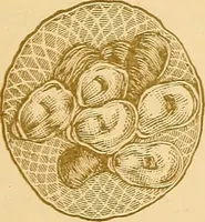 An illustration from Art potteries. (1888)