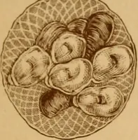 An illustration from Art potteries. (1887)