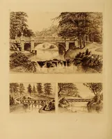 An illustration from The art and practice of landscape gardening (1890)