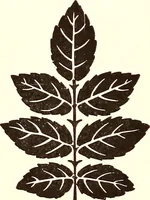 An illustration from The art & practice of typography : a manual of American printing, including a brief history up to the twentieth century, with reproductions of the work of early masters of the craft, and a practical discussion and an extensive demonstration of the modern use of type-faces and methods of arrangement (1917)