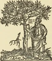 An illustration from The art & practice of typography : a manual of American printing, including a brief history up to the twentieth century, with reproductions of the work of early masters of the craft, and a practical discussion and an extensive demonstration of the modern use of type-faces and methods of arrangement (1917)