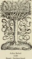 Picture 189 of 211 from The art & practice of typography : a manual of American printing, including a brief history up to the twentieth century, with reproductions of the work of early masters of the craft, and a practical discussion and an extensive demonstration of the modern use of type-faces and methods of arrangement (1917), leaf 286