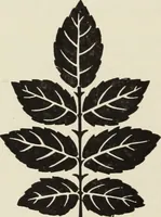 An illustration from The art & practice of typography : a manual of American printing, including a brief history up to the twentieth century, with reproductions of the work of early masters of the craft, and a practical discussion and an extensive demonstration of the modern use of type-faces and methods of arrangement (1917)