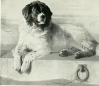 An illustration from The art reader, prepared for supplementary reading in public and private schools, with illustrations of some of the masterpieces of painting, sculpture, and architecture (1905)