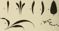 An illustration from Art recreations : (1863)