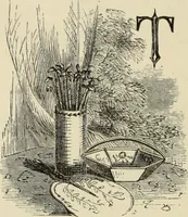 Picture 37 of 76 from Art recreations : (1863), leaf 237