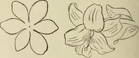An illustration from Art recreations : (1863)