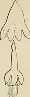 Picture 46 of 76 from Art recreations : (1863), leaf 253