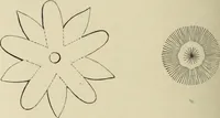 An illustration from Art recreations : (1863)