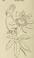 An illustration from Art recreations : (1863)