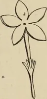 An illustration from Art recreations : (1863)