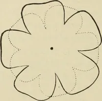 An illustration from Art recreations : (1863)