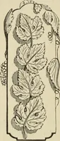 An illustration from Art recreations : (1863)