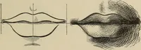 An illustration from Art recreations : (1863)