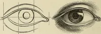 An illustration from Art recreations : (1863)