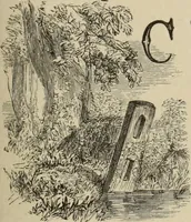 An illustration from Art recreations : (1863)