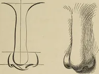An illustration from Art recreations : (1863)