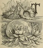 Picture 71 of 76 from Art recreations : (1863), leaf 306