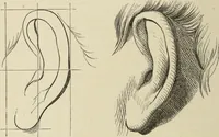 Picture 8 of 76 from Art recreations : (1863), leaf 31