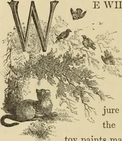 An illustration from Art recreations : (1863)