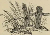 An illustration from Art recreations : (1863)