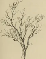 An illustration from Art recreations : (1863)