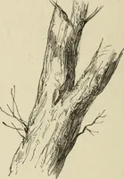 An illustration from Art recreations : (1863)
