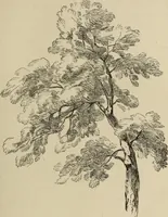 An illustration from Art recreations : (1863)