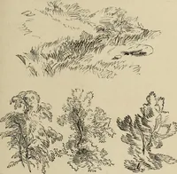 An illustration from Art recreations : (1863)