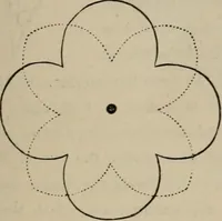 An illustration from Art recreations; being a complete guide to pencil drawing, oil painting, water-color painting, crayon drawing and painting, painting on ground glass, Grecian painting, antique painting, oriental painting, sign painting, theorem painting, ferneries, moss work, papier mache, cone work, feather flowers, potichomanie, leather work, hair work, taxidermy, gilding and bronzing, plaster work, decalcomanie, wax work, shell work, magic lantern, paper flowers, imitation of pearl, the aquqrium, sealing-wax painting, panorama painting, coloring photographs, enamel painting, etc. (1873)