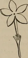 An illustration from Art recreations; being a complete guide to pencil drawing, oil painting, water-color painting, crayon drawing and painting, painting on ground glass, Grecian painting, antique painting, oriental painting, sign painting, theorem painting, ferneries, moss work, papier mache, cone work, feather flowers, potichomanie, leather work, hair work, taxidermy, gilding and bronzing, plaster work, decalcomanie, wax work, shell work, magic lantern, paper flowers, imitation of pearl, the aquqrium, sealing-wax painting, panorama painting, coloring photographs, enamel painting, etc. (1873)