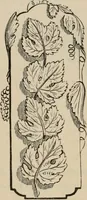 An illustration from Art recreations; being a complete guide to pencil drawing, oil painting, water-color painting, crayon drawing and painting, painting on ground glass, Grecian painting, antique painting, oriental painting, sign painting, theorem painting, ferneries, moss work, papier mache, cone work, feather flowers, potichomanie, leather work, hair work, taxidermy, gilding and bronzing, plaster work, decalcomanie, wax work, shell work, magic lantern, paper flowers, imitation of pearl, the aquqrium, sealing-wax painting, panorama painting, coloring photographs, enamel painting, etc. (1873)