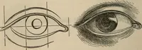 An illustration from Art recreations; being a complete guide to pencil drawing, oil painting, water-color painting, crayon drawing and painting, painting on ground glass, Grecian painting, antique painting, oriental painting, sign painting, theorem painting, ferneries, moss work, papier mache, cone work, feather flowers, potichomanie, leather work, hair work, taxidermy, gilding and bronzing, plaster work, decalcomanie, wax work, shell work, magic lantern, paper flowers, imitation of pearl, the aquqrium, sealing-wax painting, panorama painting, coloring photographs, enamel painting, etc. (1873)