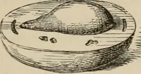 An illustration from Art recreations; being a complete guide to pencil drawing, oil painting, water-color painting, crayon drawing and painting, painting on ground glass, Grecian painting, antique painting, oriental painting, sign painting, theorem painting, ferneries, moss work, papier mache, cone work, feather flowers, potichomanie, leather work, hair work, taxidermy, gilding and bronzing, plaster work, decalcomanie, wax work, shell work, magic lantern, paper flowers, imitation of pearl, the aquqrium, sealing-wax painting, panorama painting, coloring photographs, enamel painting, etc. (1873)