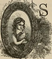 An illustration from Art recreations; being a complete guide to pencil drawing, oil painting, water-color painting, crayon drawing and painting, painting on ground glass, Grecian painting, antique painting, oriental painting, sign painting, theorem painting, ferneries, moss work, papier mache, cone work, feather flowers, potichomanie, leather work, hair work, taxidermy, gilding and bronzing, plaster work, decalcomanie, wax work, shell work, magic lantern, paper flowers, imitation of pearl, the aquqrium, sealing-wax painting, panorama painting, coloring photographs, enamel painting, etc. (1873)