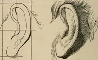An illustration from Art recreations; being a complete guide to pencil drawing, oil painting, water-color painting, crayon drawing and painting, painting on ground glass, Grecian painting, antique painting, oriental painting, sign painting, theorem painting, ferneries, moss work, papier mache, cone work, feather flowers, potichomanie, leather work, hair work, taxidermy, gilding and bronzing, plaster work, decalcomanie, wax work, shell work, magic lantern, paper flowers, imitation of pearl, the aquqrium, sealing-wax painting, panorama painting, coloring photographs, enamel painting, etc. (1873)