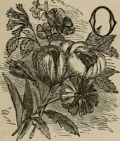 An illustration from Art recreations; being a complete guide to pencil drawing, oil painting, water-color painting, crayon drawing and painting, painting on ground glass, Grecian painting, antique painting, oriental painting, sign painting, theorem painting, ferneries, moss work, papier mache, cone work, feather flowers, potichomanie, leather work, hair work, taxidermy, gilding and bronzing, plaster work, decalcomanie, wax work, shell work, magic lantern, paper flowers, imitation of pearl, the aquqrium, sealing-wax painting, panorama painting, coloring photographs, enamel painting, etc. (1873)