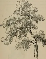 An illustration from Art recreations; being a complete guide to pencil drawing, oil painting, water-color painting, crayon drawing and painting, painting on ground glass, Grecian painting, antique painting, oriental painting, sign painting, theorem painting, ferneries, moss work, papier mache, cone work, feather flowers, potichomanie, leather work, hair work, taxidermy, gilding and bronzing, plaster work, decalcomanie, wax work, shell work, magic lantern, paper flowers, imitation of pearl, the aquqrium, sealing-wax painting, panorama painting, coloring photographs, enamel painting, etc. (1873)