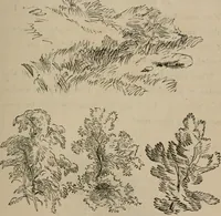 An illustration from Art recreations; being a complete guide to pencil drawing, oil painting, water-color painting, crayon drawing and painting, painting on ground glass, Grecian painting, antique painting, oriental painting, sign painting, theorem painting, ferneries, moss work, papier mache, cone work, feather flowers, potichomanie, leather work, hair work, taxidermy, gilding and bronzing, plaster work, decalcomanie, wax work, shell work, magic lantern, paper flowers, imitation of pearl, the aquqrium, sealing-wax painting, panorama painting, coloring photographs, enamel painting, etc. (1873)