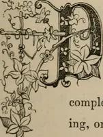 An illustration from Art recreations; being a complete guide to pencil drawing, oil painting, water-color painting, crayon drawing and painting, painting on ground glass, Grecian painting, antique painting, oriental painting, sign painting, theorem painting, ferneries, moss work, papier mache, cone work, feather flowers, potichomanie, leather work, hair work, taxidermy, gilding and bronzing, plaster work, decalcomanie, wax work, shell work, magic lantern, paper flowers, imitation of pearl, the aquqrium, sealing-wax painting, panorama painting, coloring photographs, enamel painting, etc. (1873)