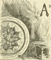 An illustration from Art recreations : being a complete guide to pencil drawing, oil painting ... moss work, papier mache...wax work, shell work...enamel painting, etc. (1871)