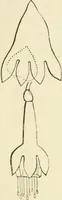 An illustration from Art recreations : being a complete guide to pencil drawing, oil painting ... moss work, papier mache...wax work, shell work...enamel painting, etc. (1871)