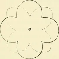 An illustration from Art recreations : being a complete guide to pencil drawing, oil painting ... moss work, papier mache...wax work, shell work...enamel painting, etc. (1871)