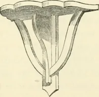 An illustration from Art recreations : being a complete guide to pencil drawing, oil painting ... moss work, papier mache...wax work, shell work...enamel painting, etc. (1871)