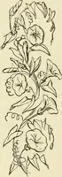 An illustration from Art recreations : being a complete guide to pencil drawing, oil painting ... moss work, papier mache...wax work, shell work...enamel painting, etc. (1871)