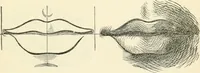 An illustration from Art recreations : being a complete guide to pencil drawing, oil painting ... moss work, papier mache...wax work, shell work...enamel painting, etc. (1871)